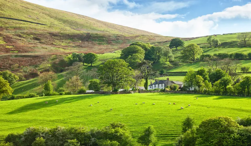 KayaSinan122's tweet photo. Lost in the beauty of the English countryside ๐ฟโจ #NatureEscape #GreenDreams https://t.co/Xi6EFXtdpT