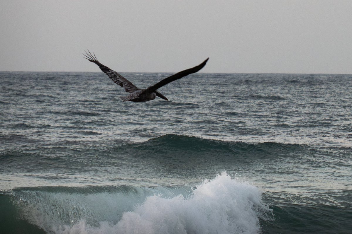 flight &amp; motion 📸