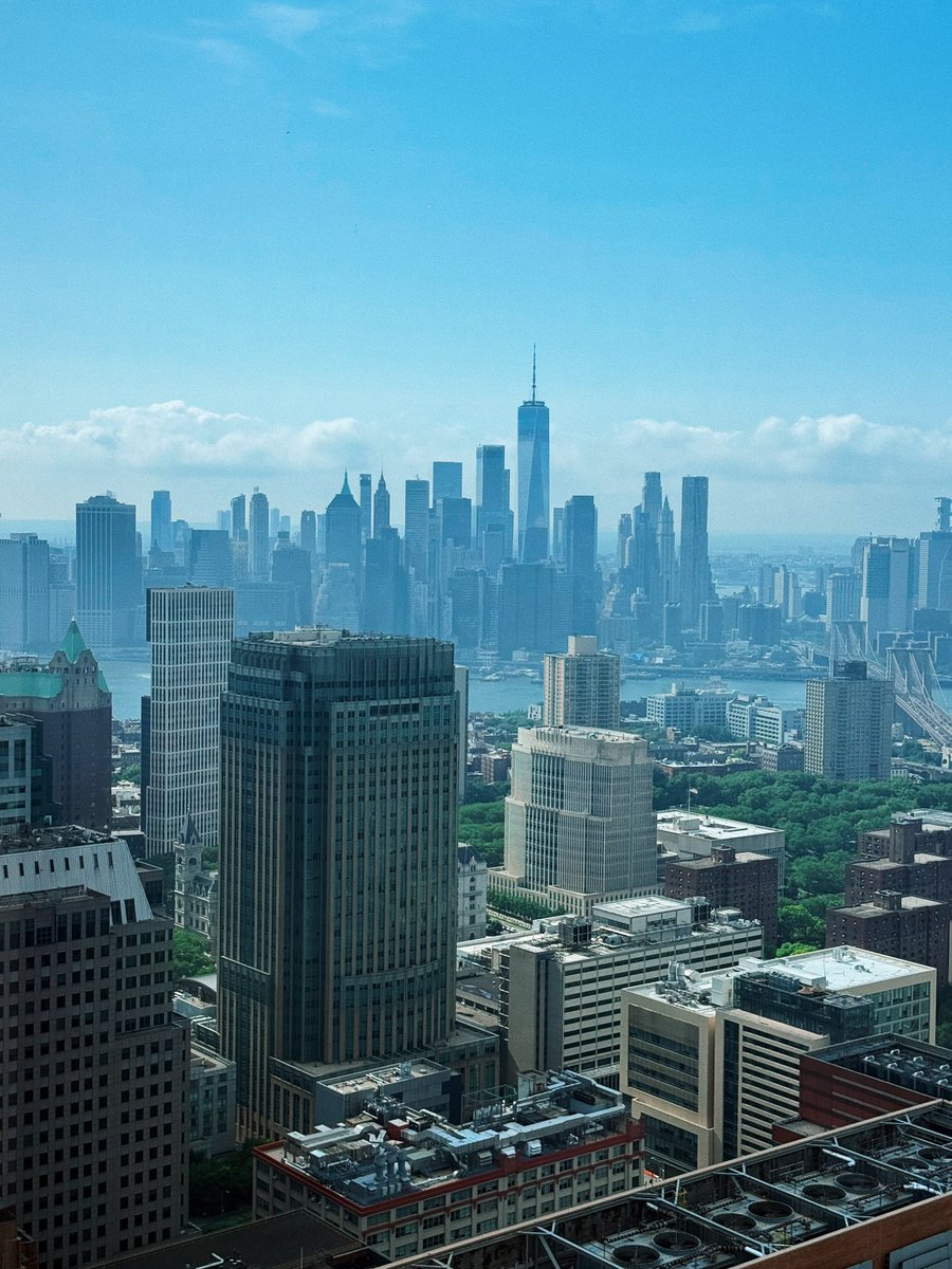 Mirad qué chico más majo me he encontrado en New York ❤️