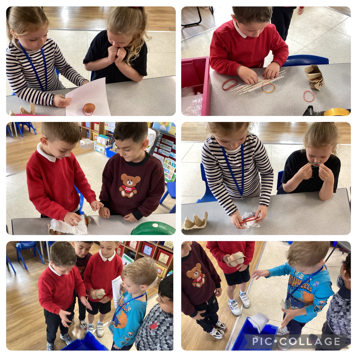 Year 1 PDCS tweet media