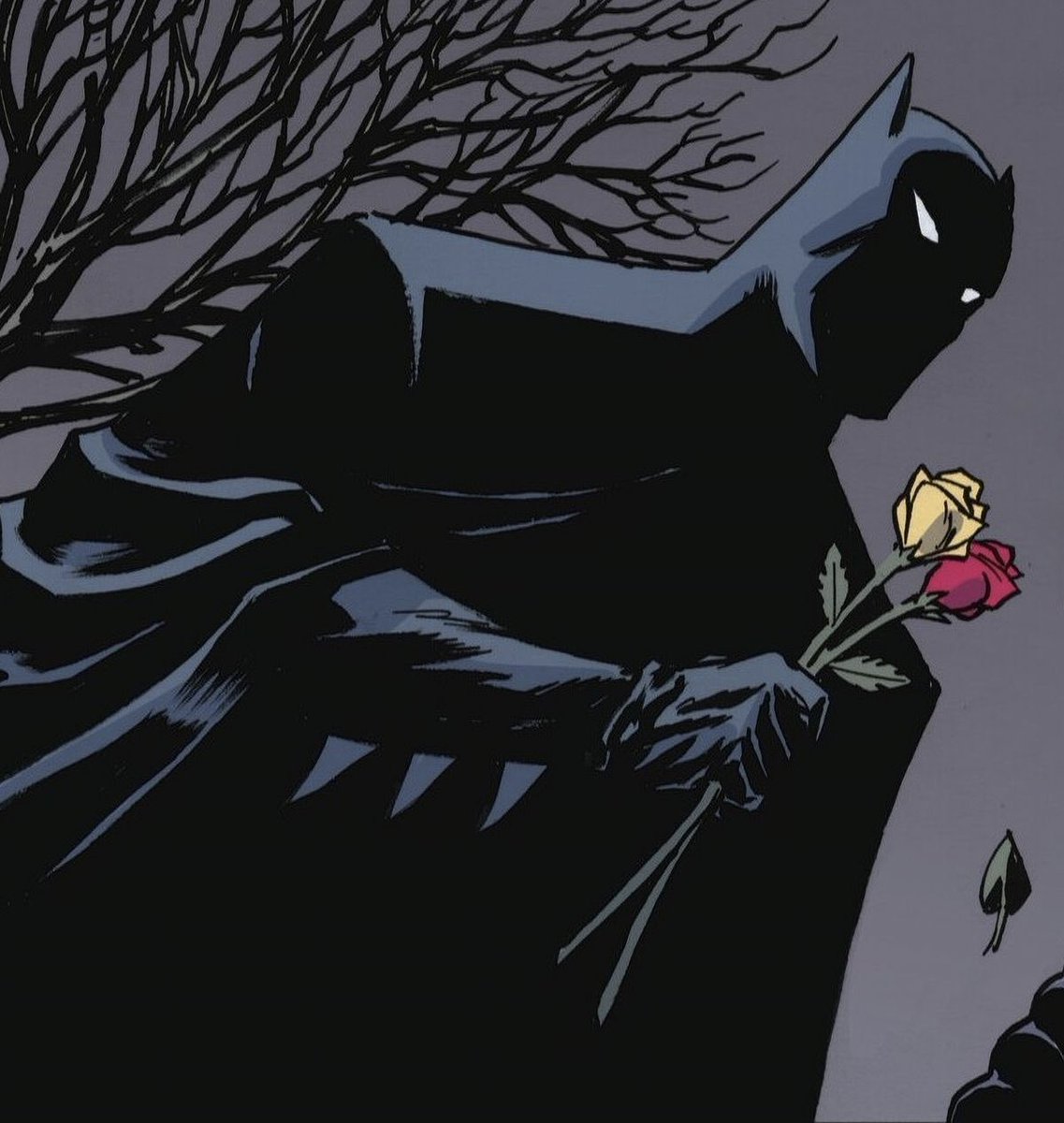 Batman_Fan#1 (@batman_gothambw) on Twitter photo 