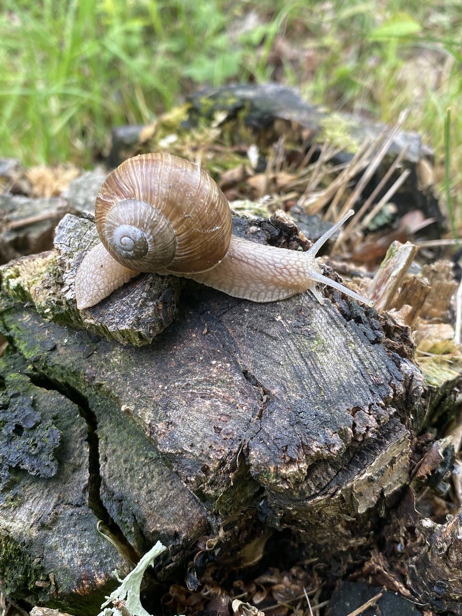 how can u not just love these adorable little creatures