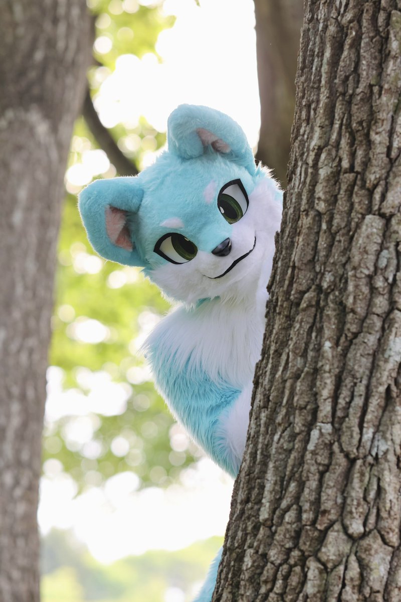 ひょこっ
 #FursuitEveryday