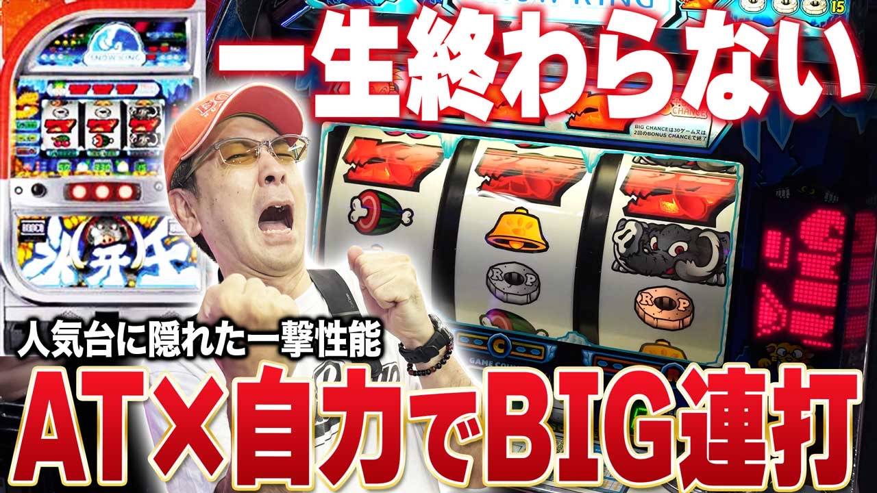 スノーキング - Search / X