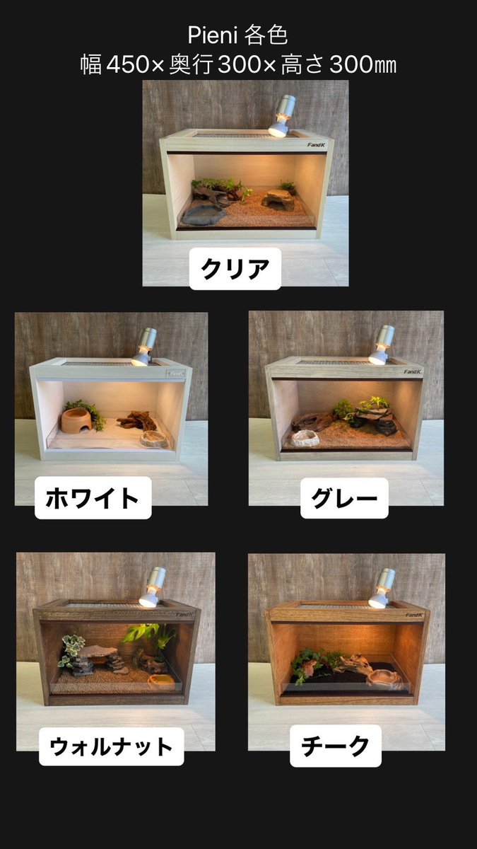 FandK爬虫類木製ケージ pieni 450×300×300 ブラック塗装 【公式通販】