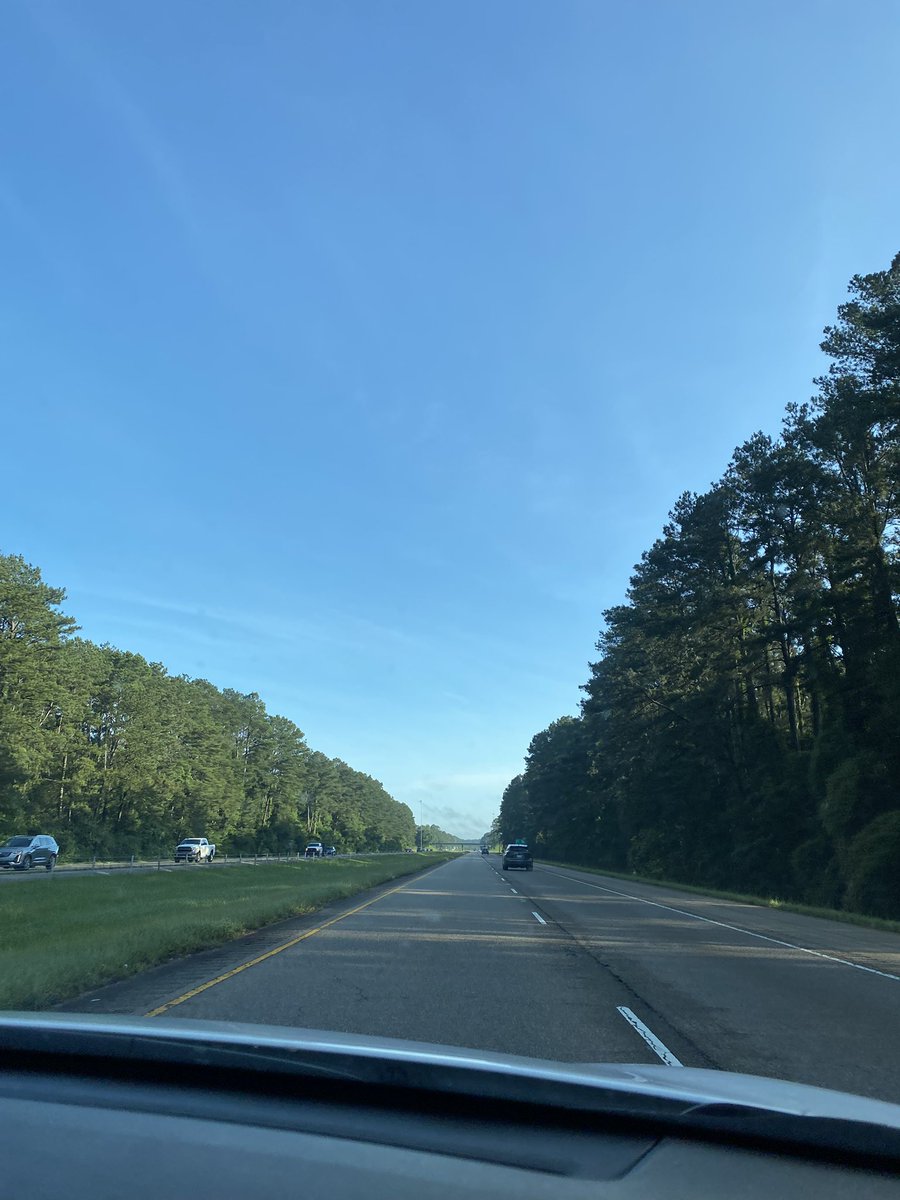 Madeline Adams tweet media