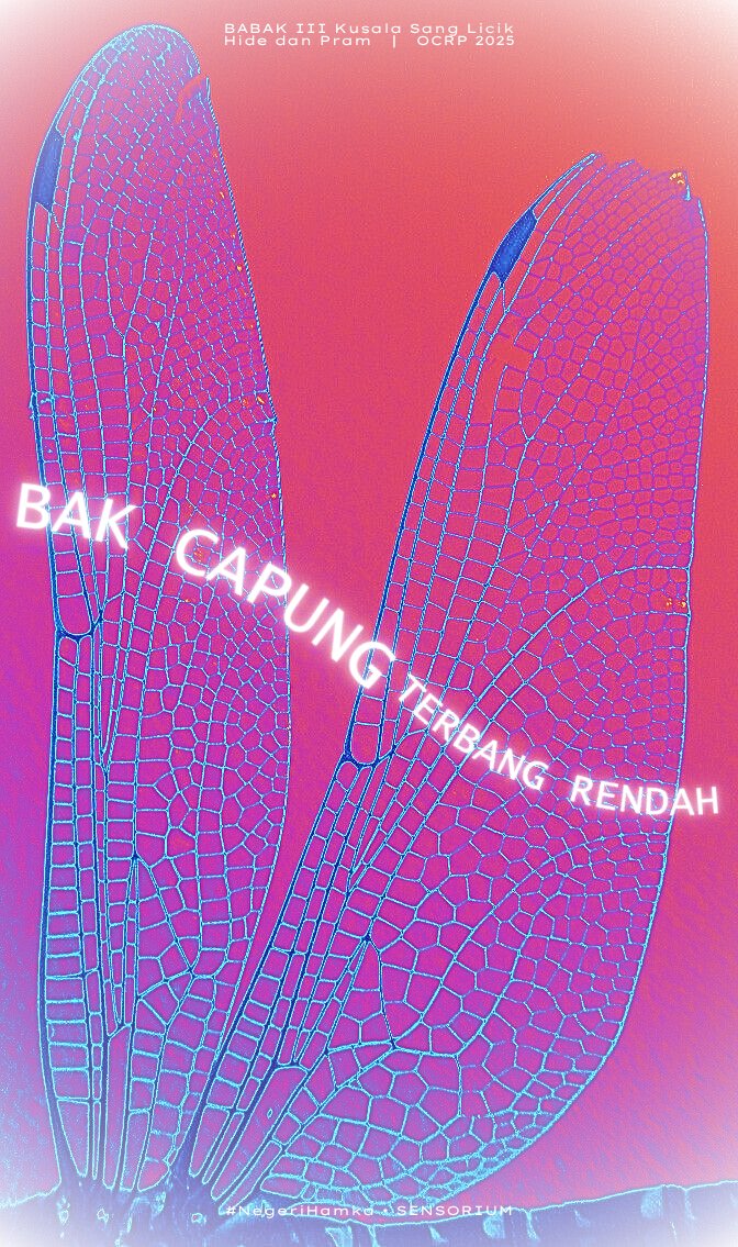 ripensoul_V's tweet image. BAK CAPUNG TERBANG RENDAH
__________________________________