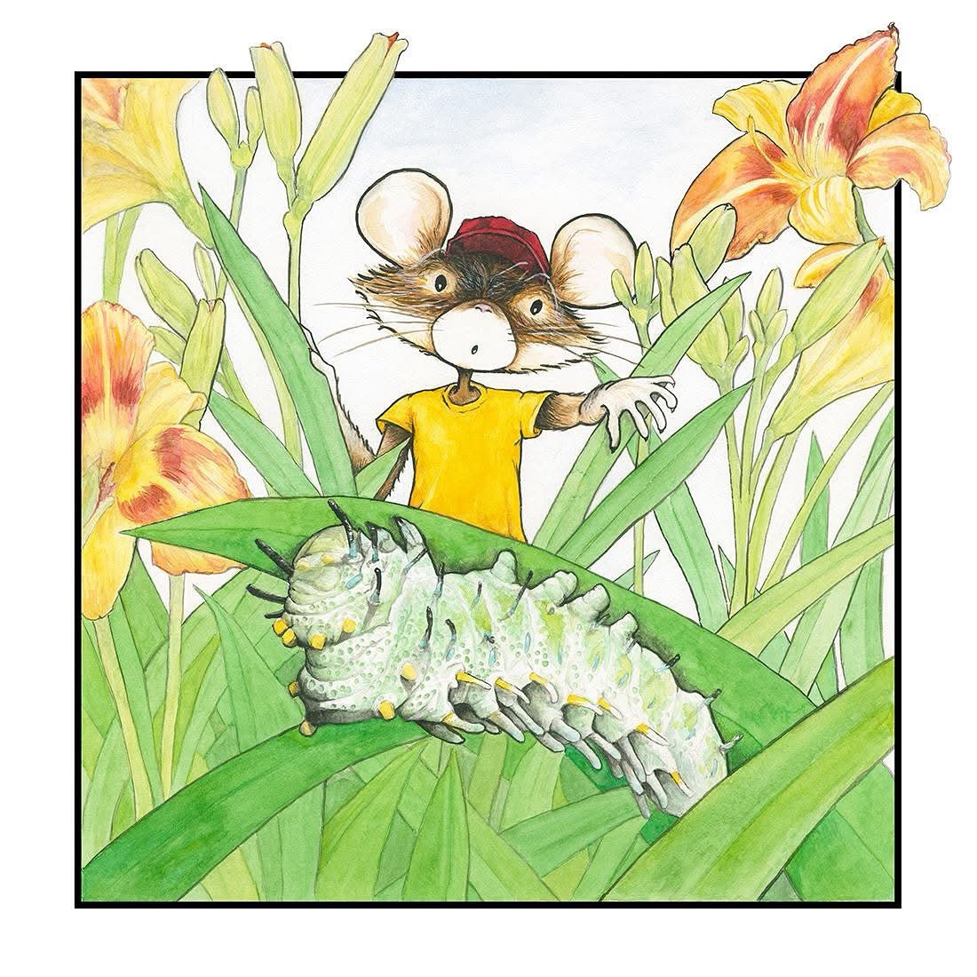 JessEvans915's tweet photo. Little Mouse finds a friend picture book cover. I visited the extensive #entomology department at @uidaho to study their collection to render this. A great book for summer! Get outside and play! https://t.co/t8iibLLjez
#watercolor #kidlitart #LittleMouseFamily #atlasmoth https://t.co/2a2RIwsy4O