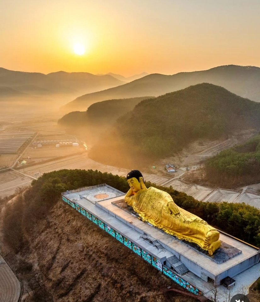 연하가 저러고 지켜보는게 연상의 설거지 인거 같아서
이젠 성불할꺼 같다
(원냥이가 설거지 넘겨주기 기다릴때도 침상에 연하가
김이랑 막걸리 먹겠다는 쿱이 왔을땐 이미 저자세) 
이놈의 염천 커플
#민원