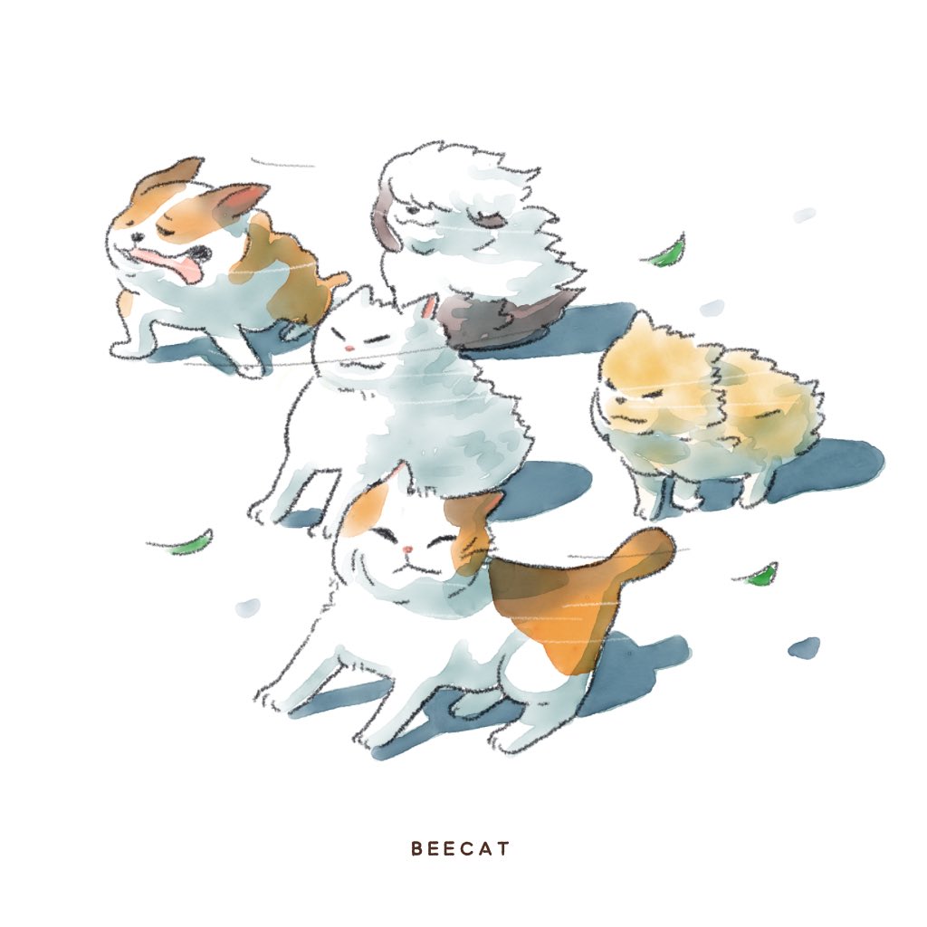 Blown away?  Yes.
Giving up?  Never.