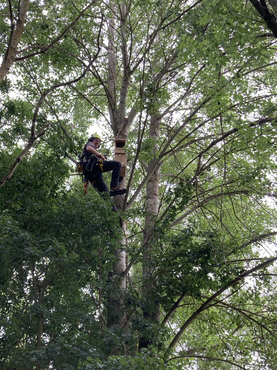 Maria Herlihy EA (@mariaherlihyea) on Twitter photo As part of a bio- diversity project being led by one of our waterways team leader , you can see the installation of #Barn owl boxes at #Sandford lock . <a href="/EnvAgencySE/">Environment AgencySE</a> As part of a bio- diversity project being led by one of our waterways team leader , you can see the installation of #Barn owl boxes at #Sandford lock . <a href="/EnvAgencySE/">Environment AgencySE</a>