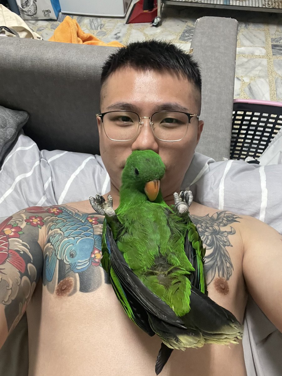 兩腳開開，躺好😏