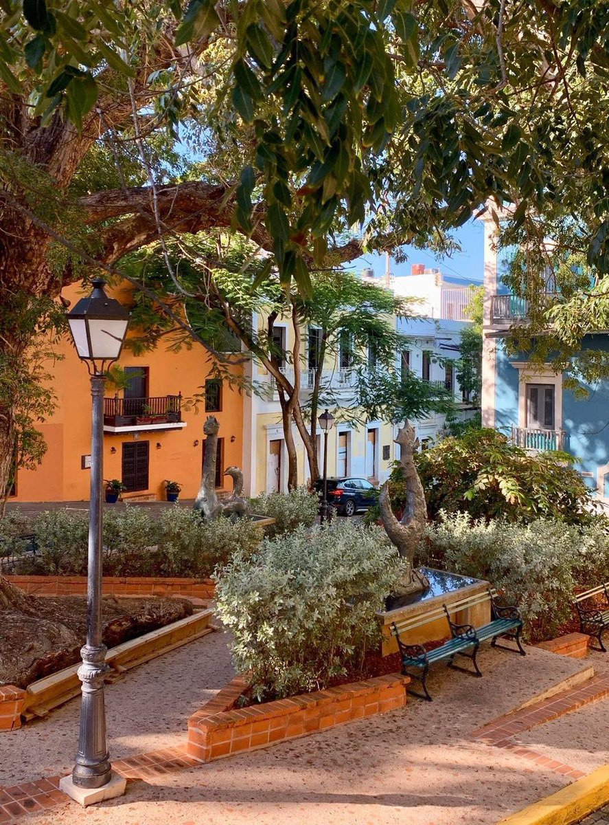 Amanece… ¡Buenos días!