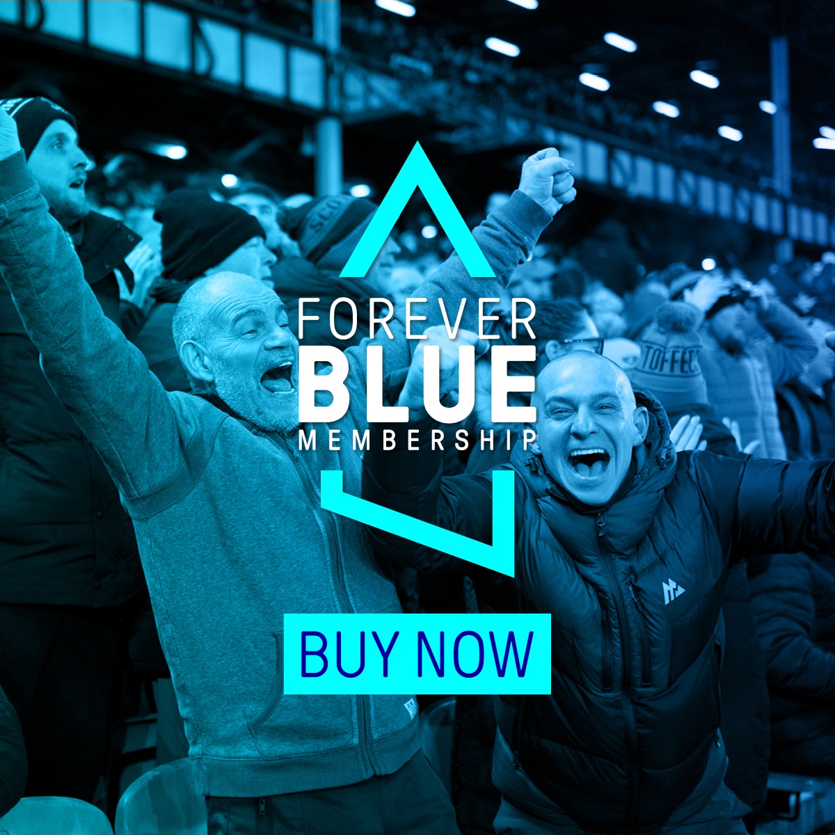 EFC DAILY tweet media