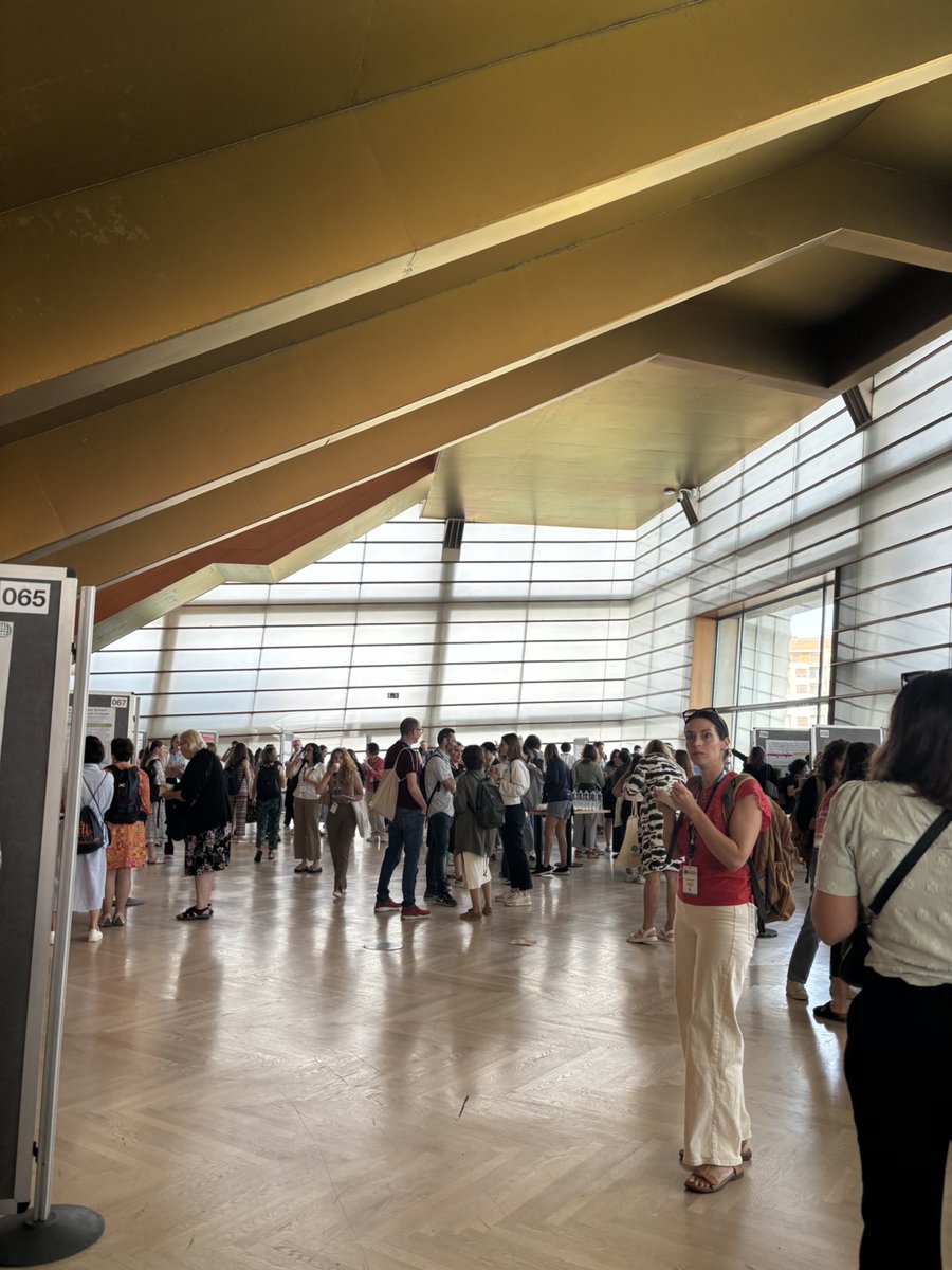 Noha Maakafi tweet media