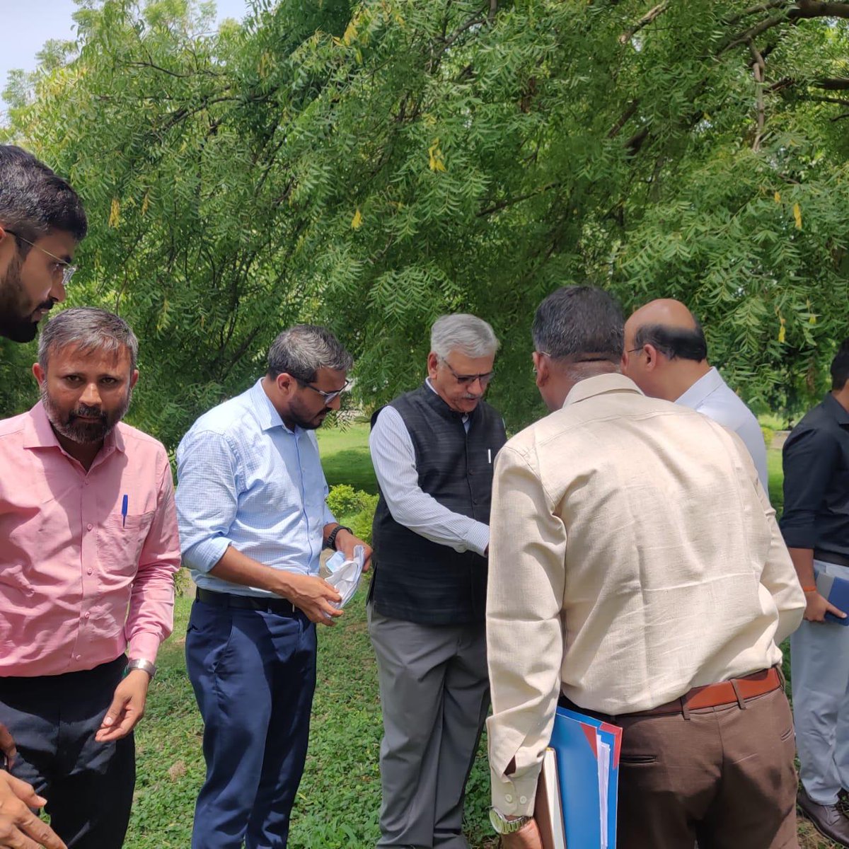 Collector and DM Anand tweet media