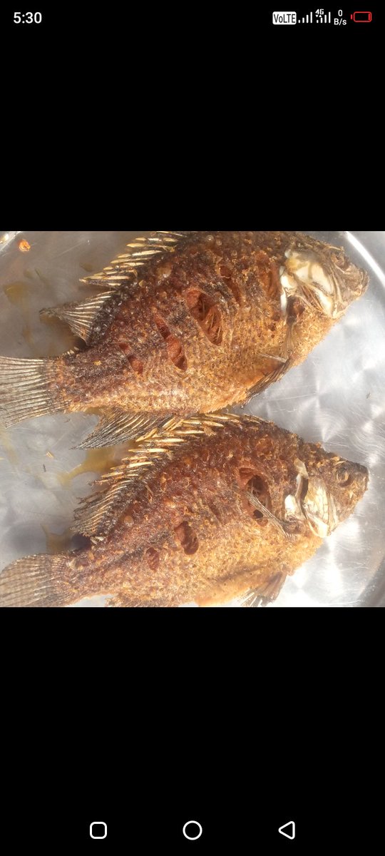 DerasylFishhub's tweet photo. @SirMwenyewe Ata acha tumuonyeshe picha ndio ajue uko serious. Anawezaconfirm na Mimi kama uko serious na mambo ya fish through 0713897483 https://t.co/GtmI3gqBpc