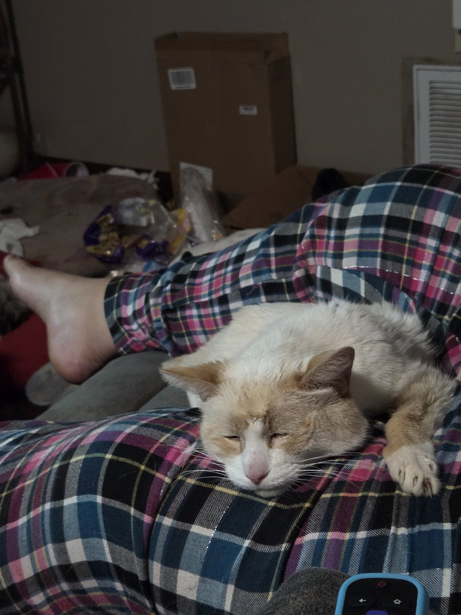 Cyndakiel tweet media