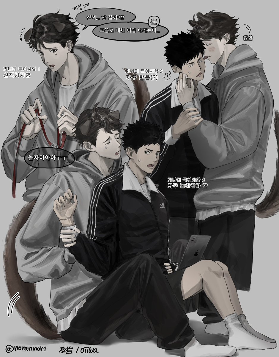 #oiiwa #及岩 #오이이와