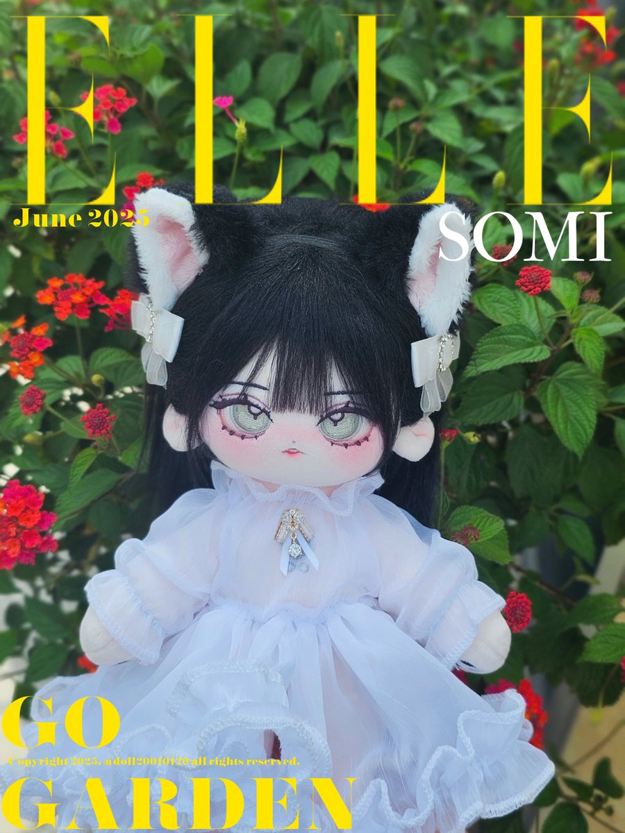 6월 커버 소미🐈‍⬛❤

#솜사랑월드 #솜생사진 #인형계 #마이소미 #소미 #세미롱바디