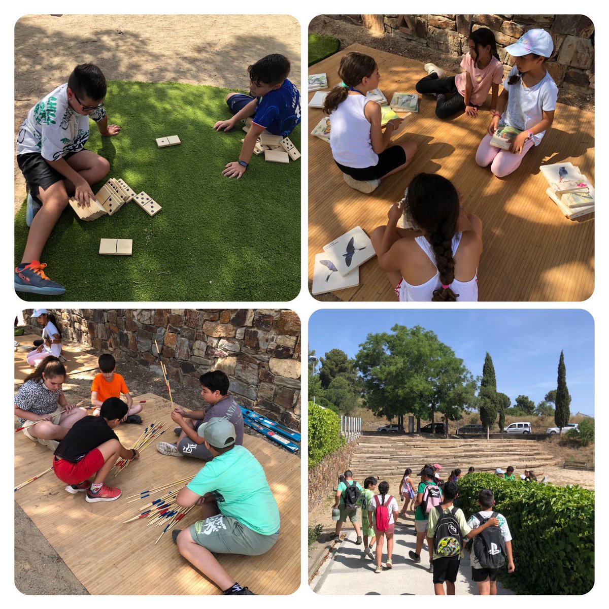 Aquest matí hem participat en una jornada molt especial al Pi Gros amb l'AMB, on l’alumnat de 4t ha presentat els seus projectes sobre les sortides per observar ocells, amfibis i petits mamífers.
Ha estat una gran oportunitat per compartir tot el que hem après.