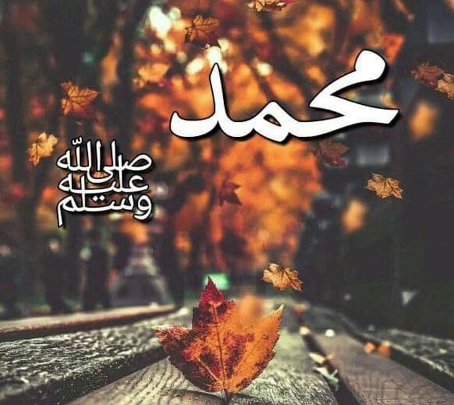 ZebinullahR's tweet image. 