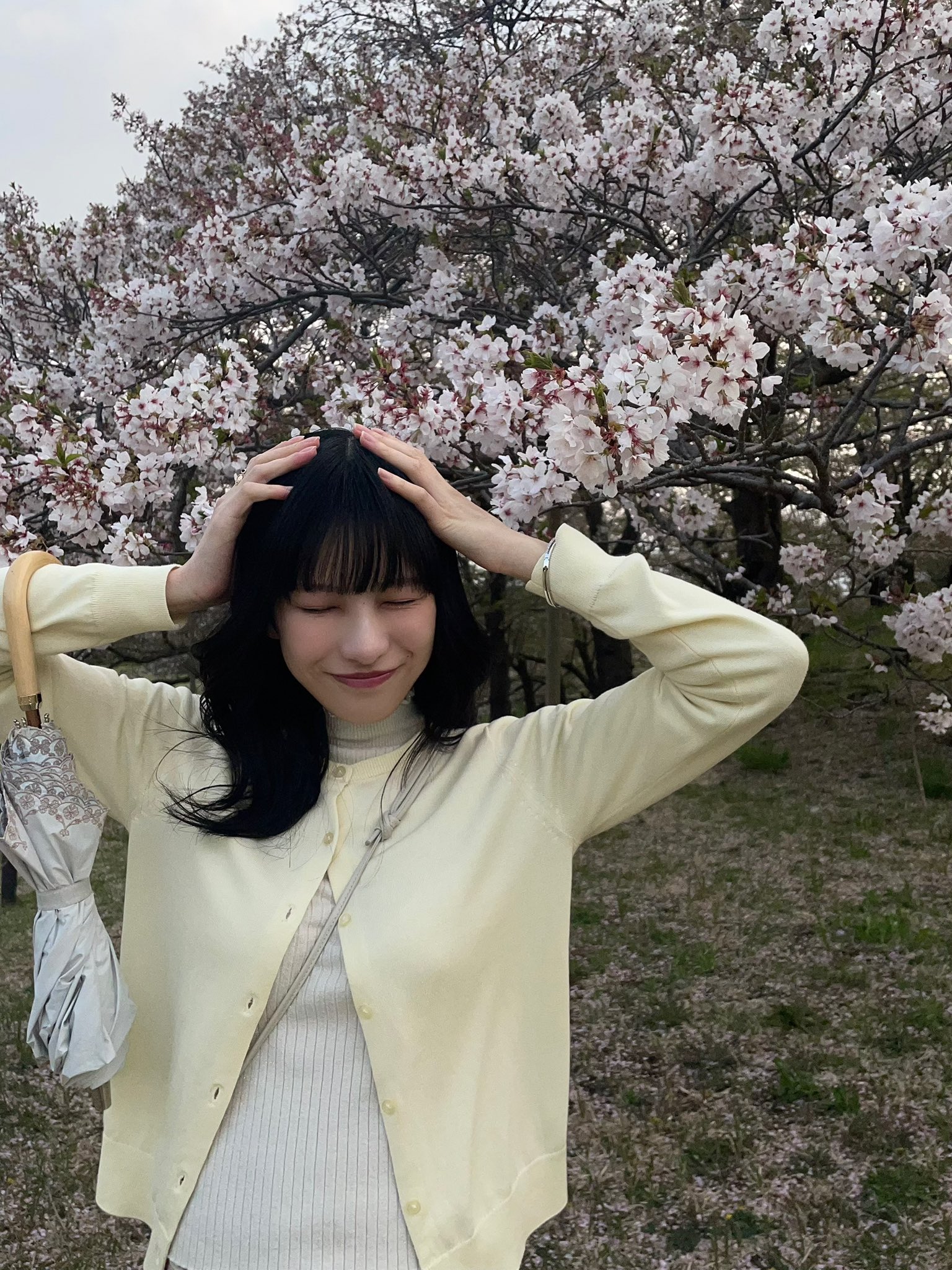 四条月Luna Shijo on X: 