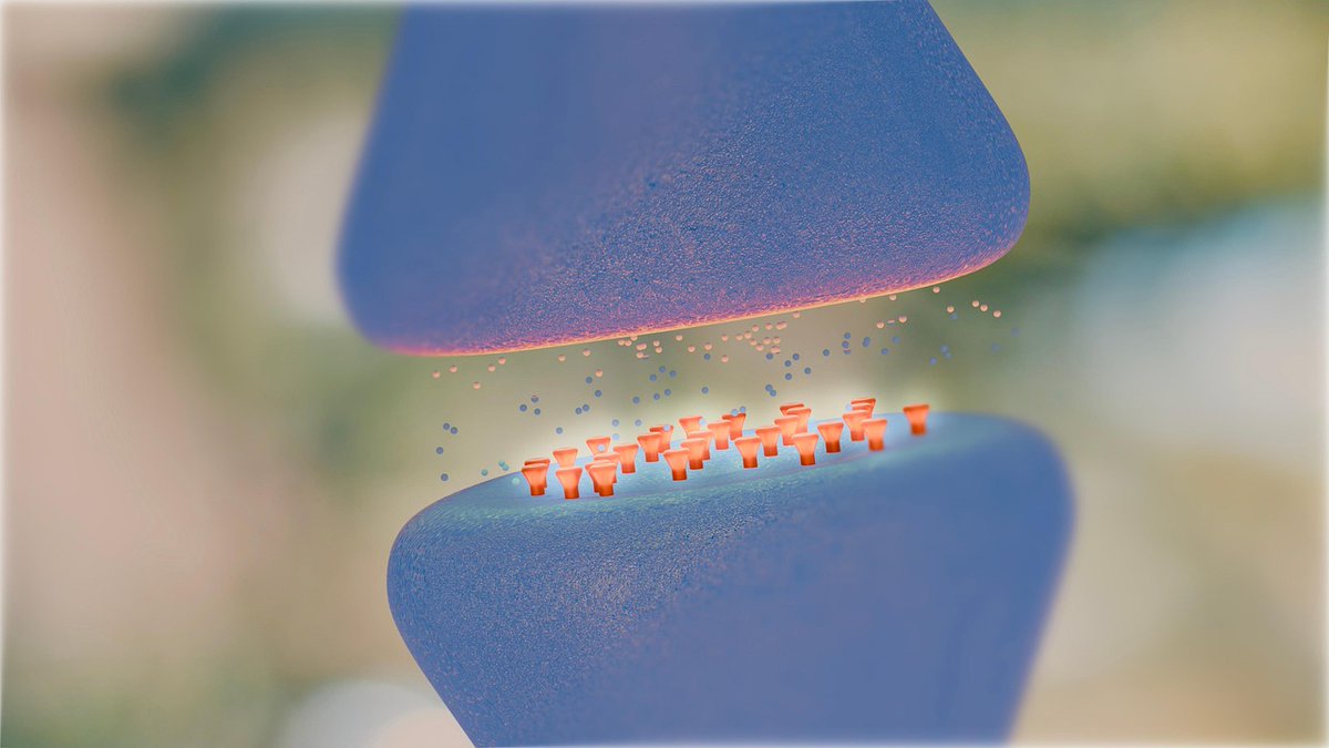 New research has identified that long term persistent pain, commonly experienced by people with ME/CFS and those with Fibromyalgia, is processed differently in the nervous system from pain that comes from an injury or over exertion. 

Read more: bit.ly/4dXimMJ