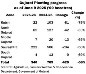 COTTONGURU® tweet media