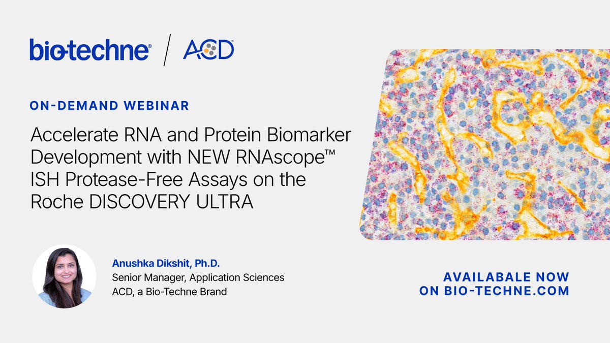 Watch this on-demand webinar showcasing our new spatial multiomic solution for seamlessly integrating #RNAscopeISH with IHC/IF - revolutionizing protein+RNA visualization and addressing critical biological queries. 
Watch Webinar! bit.ly/4dQ3NdF #RNAscopeMultiomics