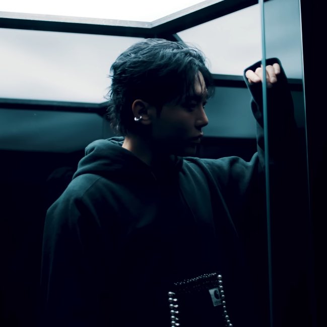 THE EARRINGS