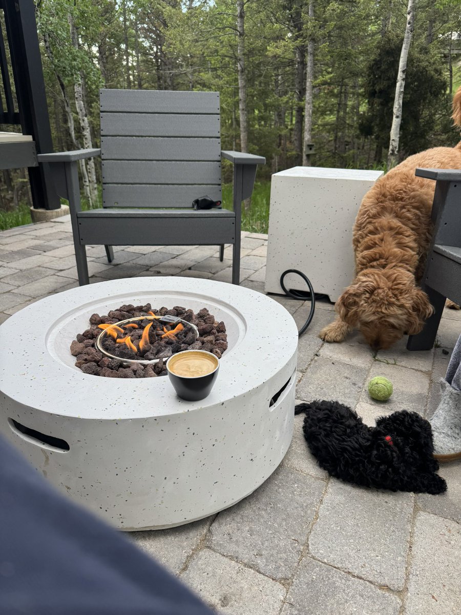 jonpbaker's tweet image. Summer mornings at home in the mountains.
✅Latte
✅Dog being relentless playing fetch with the tennis ball
✅Fire pit
✅wordl with my wife