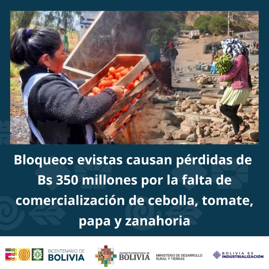 El sector agropecuario en #Bolivia registra una pérdida acumulada de 350 millones de bolivianos debido a los bloqueos protagonizados por afines a Evo Morales.
Cada día de bloqueo representa una pérdida de Bs 42 millones para el sector.
