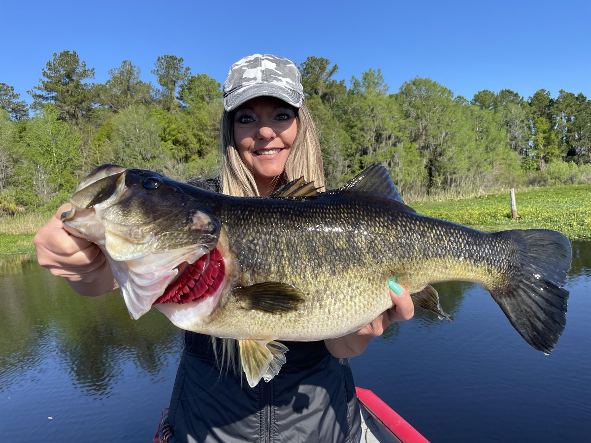 Gorgeous 8.25 big healthy bass 👏🏻
