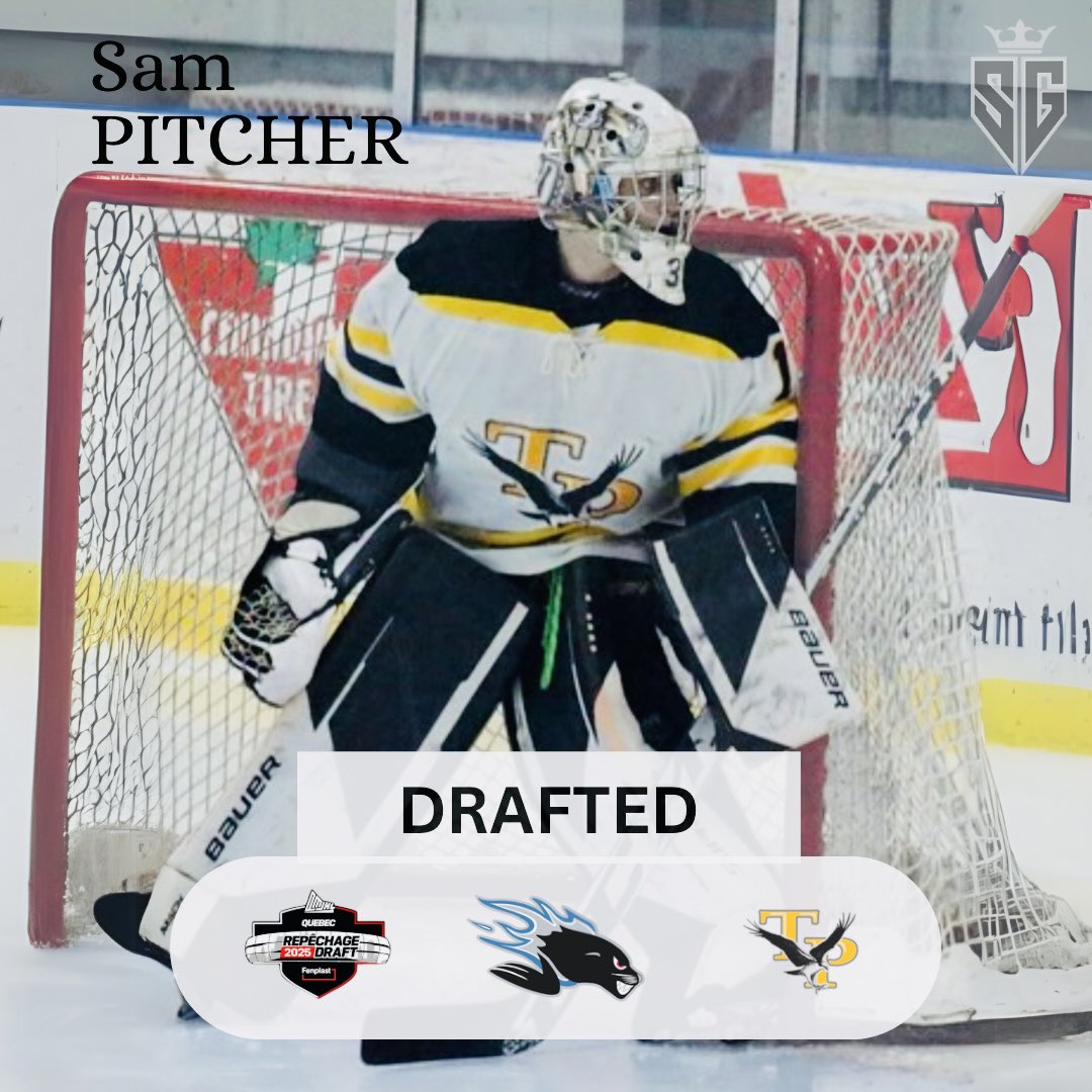 Shield Goaltending tweet media