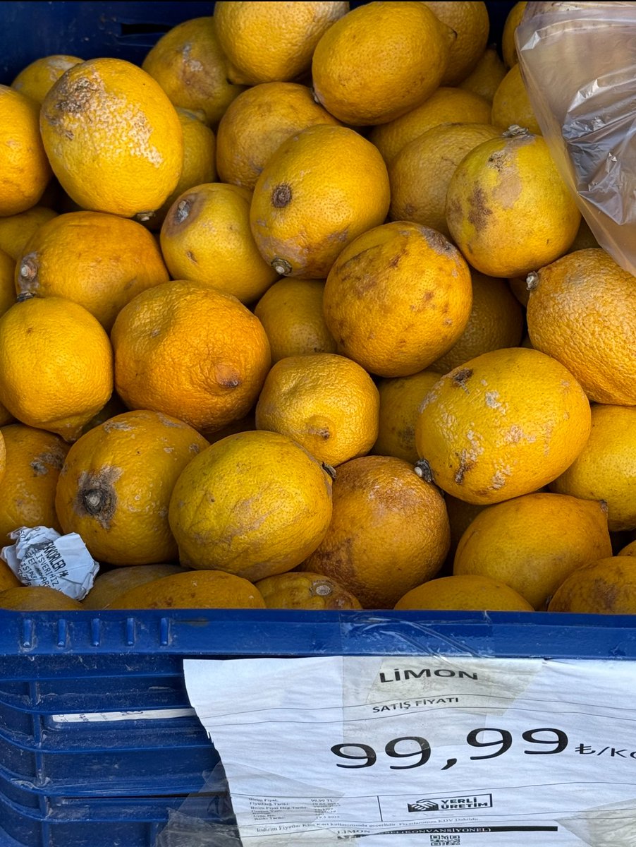 Limon kg 99,99 TL