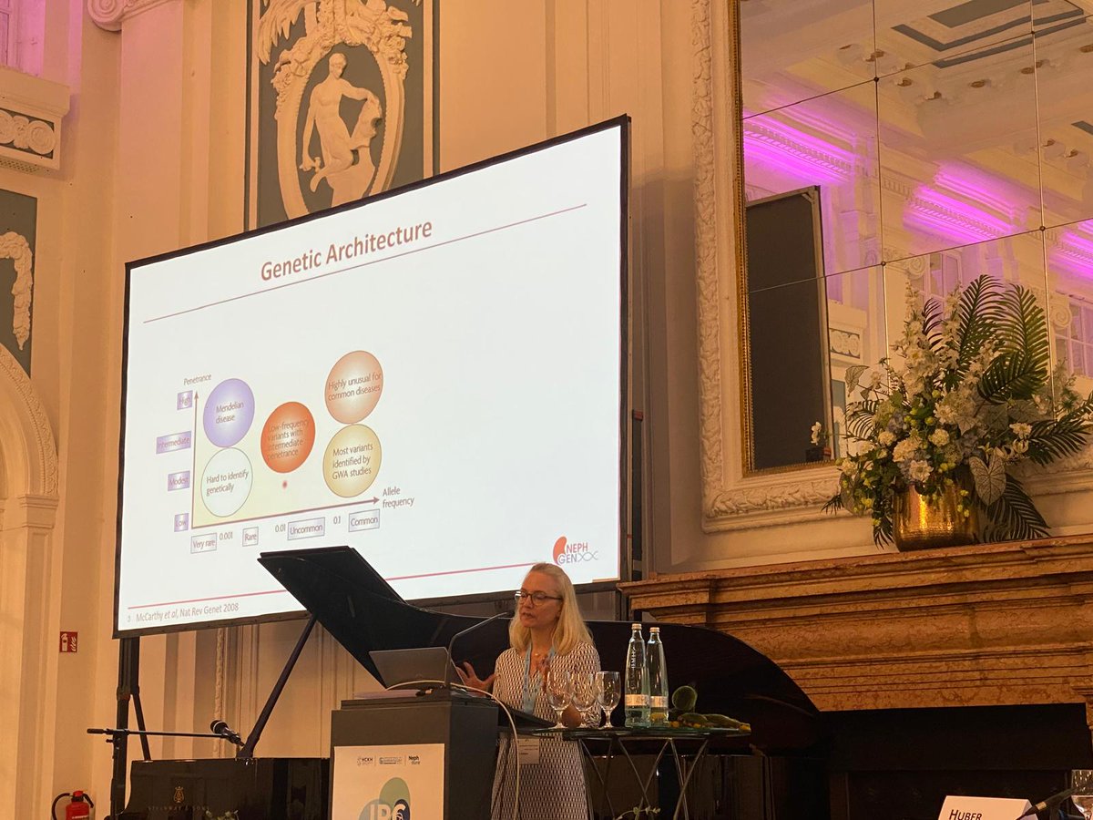 PodocyteIPC's tweet image. Starting off with cutting-edge Genetics! 🧬 Prof. Anna Kõttgen presenting on Genetic Epidemiology to understand kidney functions and disease through GWAS studies of UACR. 🌟 Can you spot the carpet podocyte? 🧐 #PodocyteConference