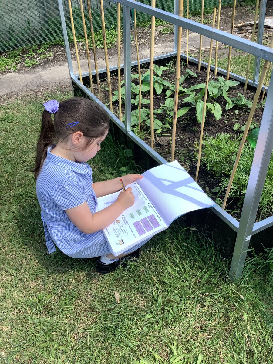 Year 2 - St. Philip's tweet media