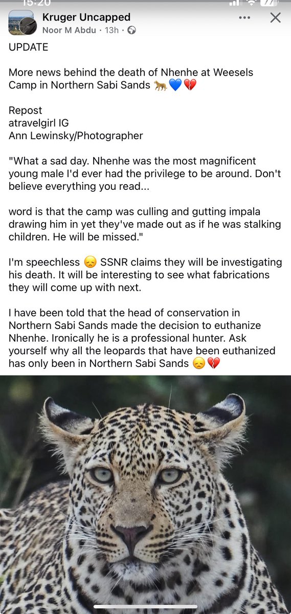 Nhenhe update: Wessels property! 😡😡
#wildearth