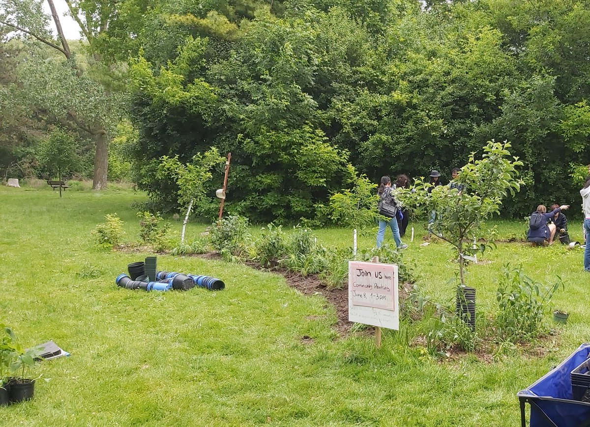 Jean-François Obregon tweet media