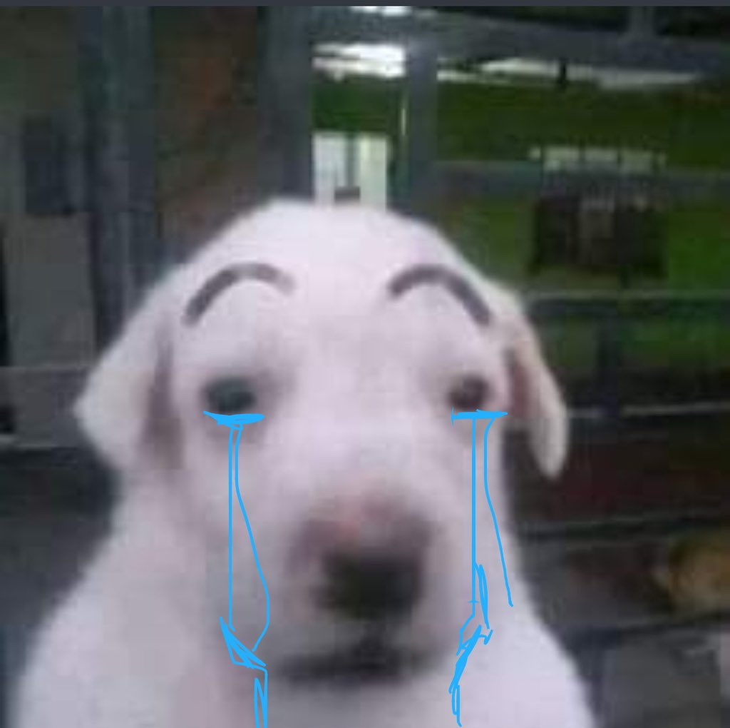 왜 악입문은 시험기간에만 뽕이 차는 거야