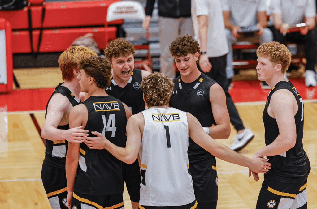 NATigers (@natigerathletic) on Twitter photo ICYMI: <a href="/navolleyball/">NA Volleyball</a> outlasts Central York in five sets to advance to PIAA Championship
🔗: athletics.northallegheny.org/news/na-outlas… ICYMI: <a href="/navolleyball/">NA Volleyball</a> outlasts Central York in five sets to advance to PIAA Championship
🔗: athletics.northallegheny.org/news/na-outlas…