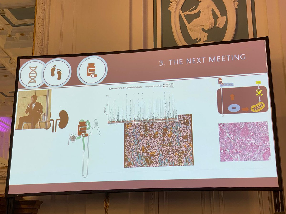 Joshua's story about living with APOL1-associated diasease inspired Dr. Katalin Susztak to present the connecting bridges from mapping to mechanisms to medicine! 💊 More results at the next #PodocyteConference? 🤩