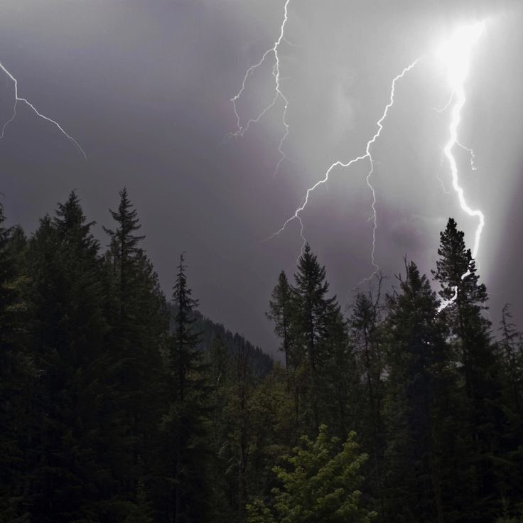 gIoomyweather's tweet image. gloomy.