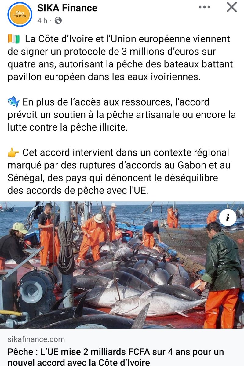 Edith Brou Bleu tweet media