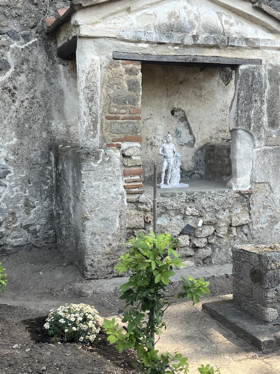 pompeii_sites's tweet photo. 800 rose antiche, 1.200 viole, 1.000 piante di ruscus, ciliegi, viti e meli cotogni messi a dimora nell’area verde della casa del Giardino di Ercole, anche detta “casa del profumiere”, per la probabile produzione e commercializzazione di profumi che qui avveniva. https://t.co/vQykwc3K66