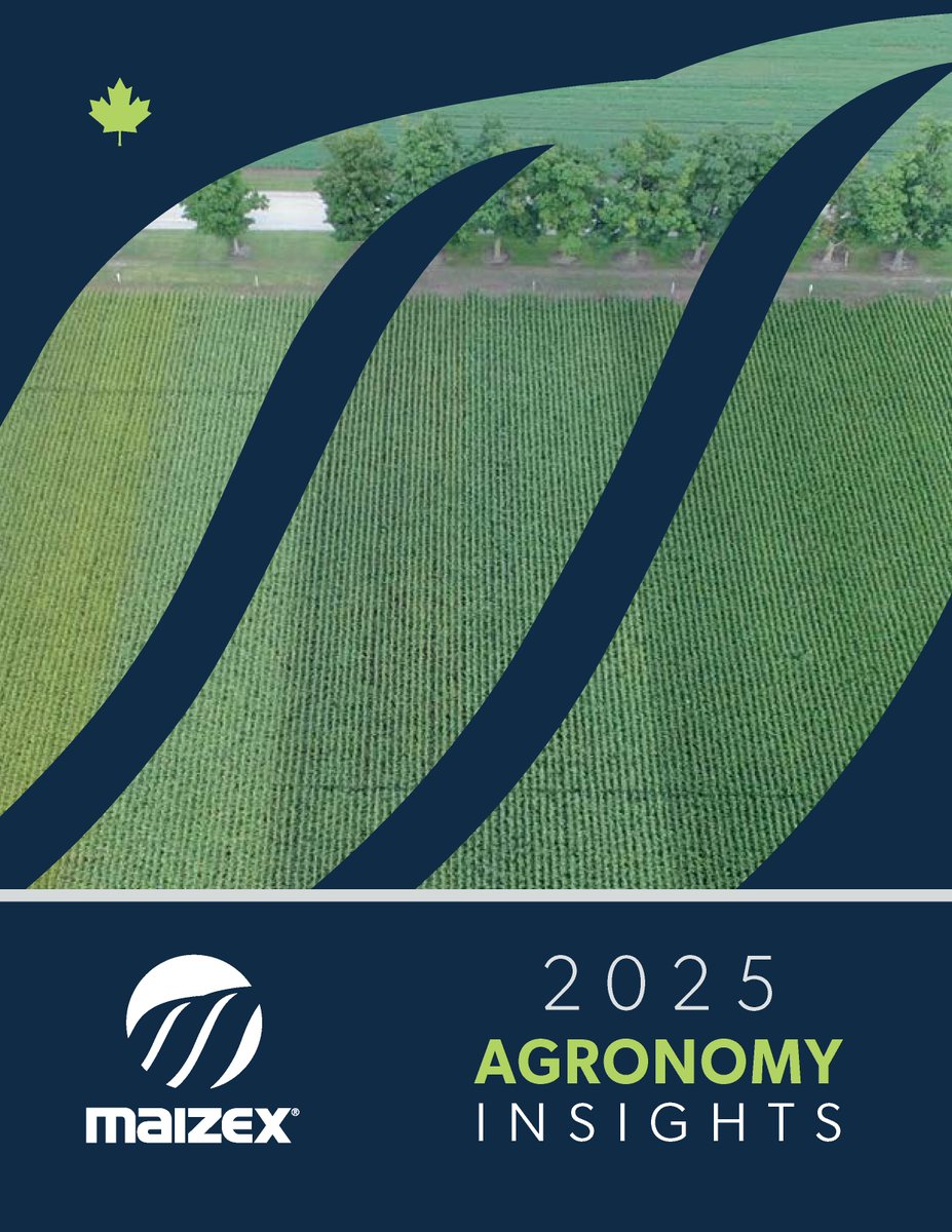 Have you seen it yet? Our 2025 Maizex Agronomy Insights publication is available at maizex.com/wp-content/upl…

Our dealers and the Maizex support team are at the ready to meet your needs this spring. Ask your dealer about the best Maizex products field by field for your farm.