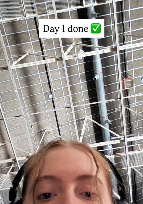 reddishkit's tweet image. this thing of having little bts updates every day is so special to me