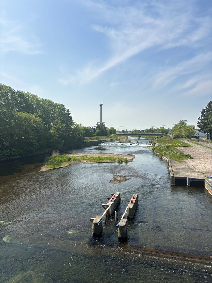 It was a pleasure visiting Prof. Araki and his team at <a href="/HokkaidoUni/">Hokkaido University</a>. Great to chat about our projects and join their monthly sampling at the Chitose River. Really fascinating to see how scientists from opposite sides of the world tackle similar questions in the field. 🗺️

#eDNA