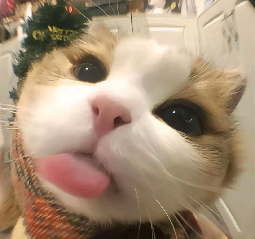 ‍ ‍ ‍ ⋆ 𝑔𝓇⟢ ͡𝔫𝚍 ‍⺌ ‍𝒹𝚞 ͟𝓀𝔢. ◞ ‍ tweet media